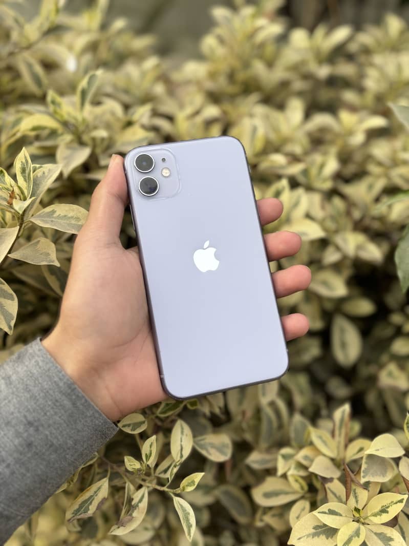 Apple iPhone 11 0