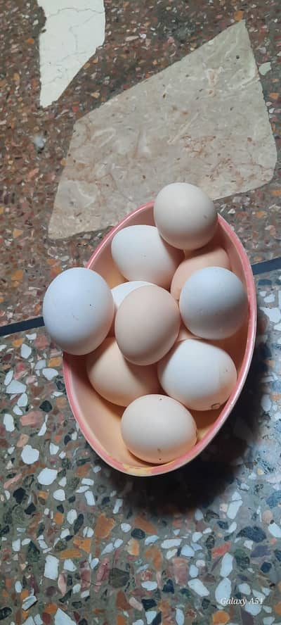 desi egg