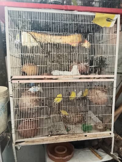 Cage form sale