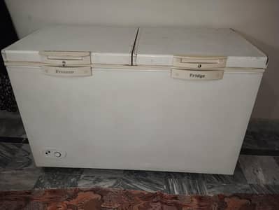 Waves Freezer for Sale – Excellent Condition