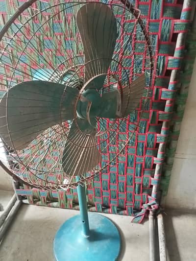 pak fan origanl cooper wiring fan