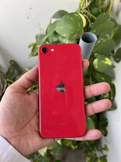IPHONE SE 2020 PTA APPROVE