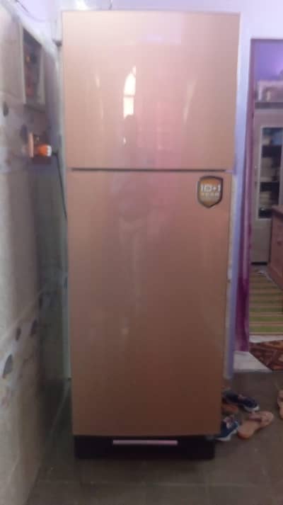 like New Refrigerator Literally Used