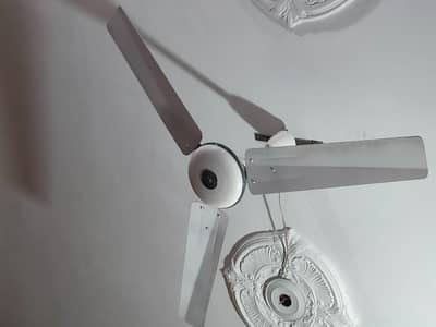 Ceiling Fans