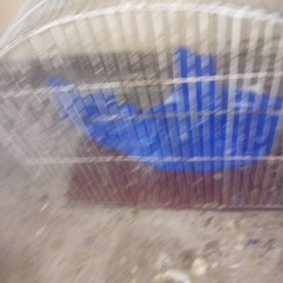 Two Cages