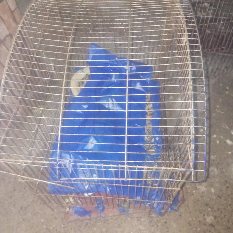 Two Cages 2