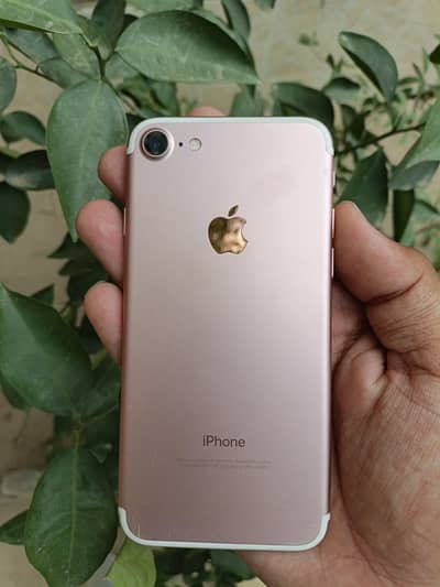 IPHONE 7