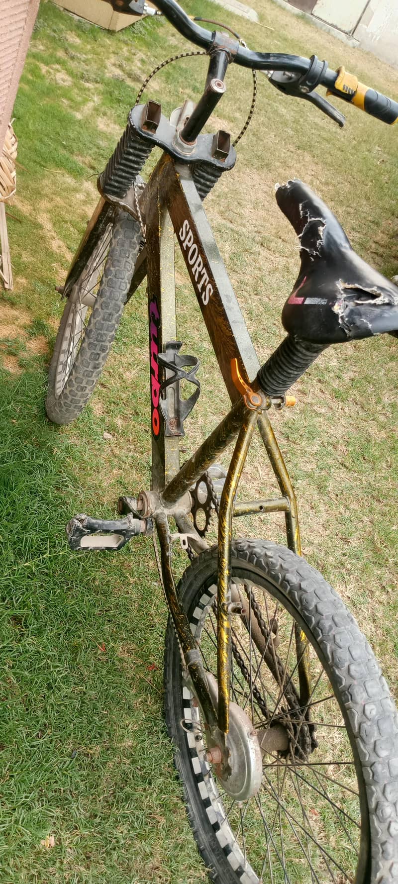 cycle 1