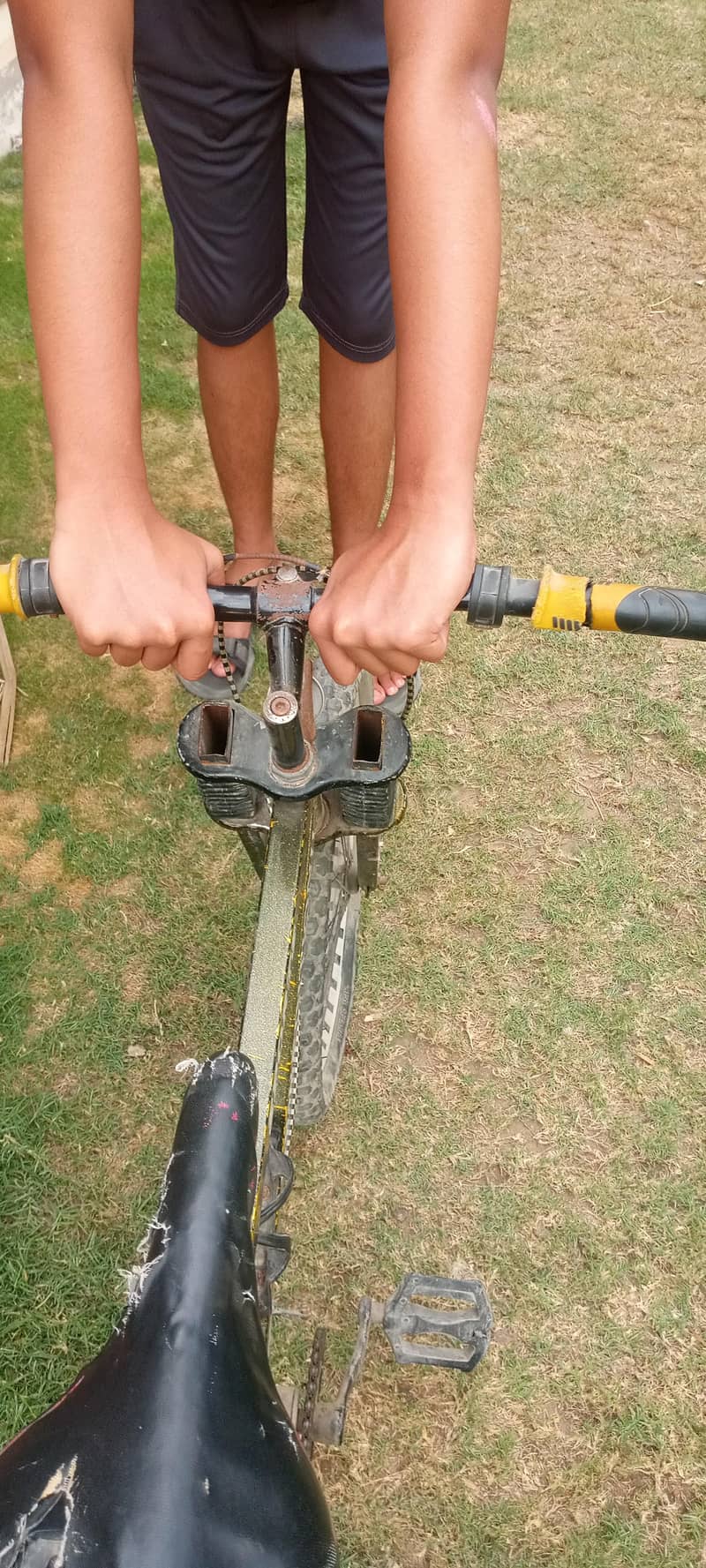 cycle 5