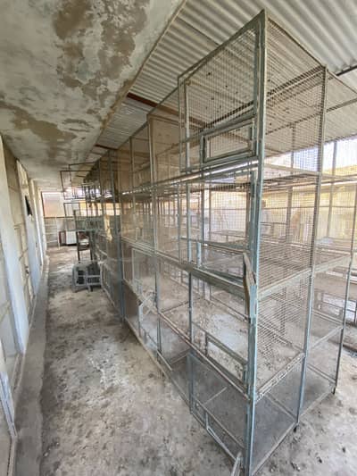 TOWER CAGE WITH STEEL JAALI