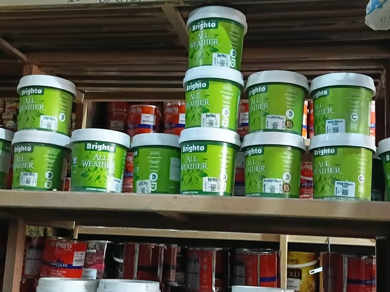 Brighto Paint 1