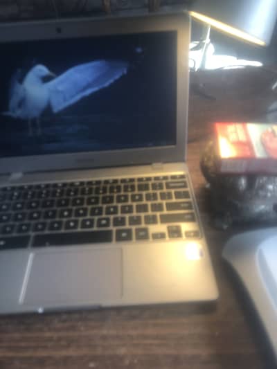 Orignal samsung chrome book os 4 lattest vluetooth camera all 10/10
