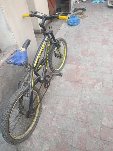 for sale
