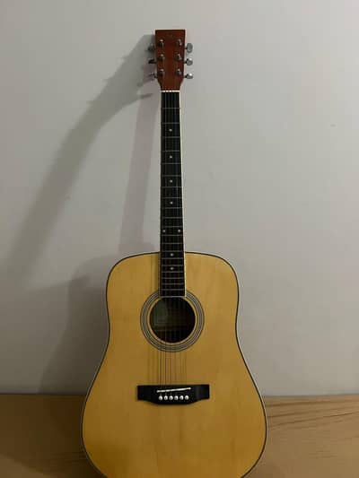 Two Guitar's Brand Name Dianoo and SX