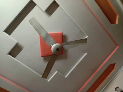 3 ceiling fans