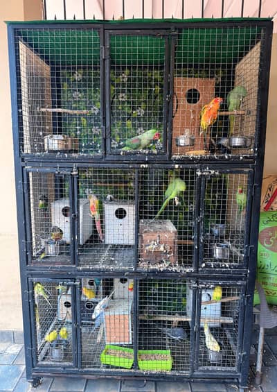 5 Pairs Birds Cage For Sale ,6 Feet Hight 4 Feet Wide