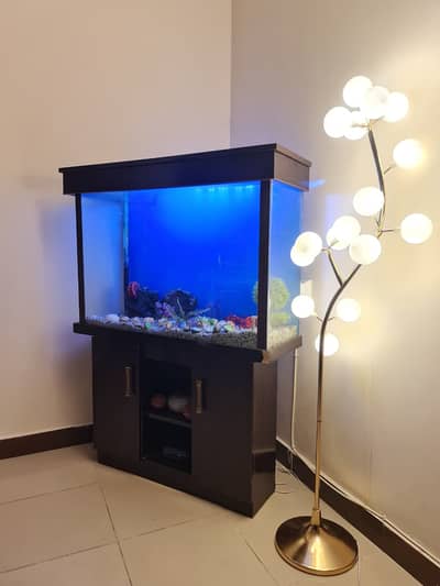 Aquarium