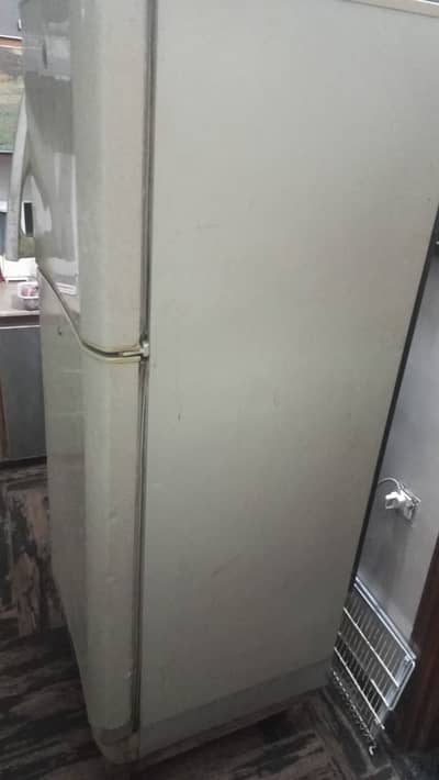 PEL Large Size Fridge for Sale, Small and Large Doors