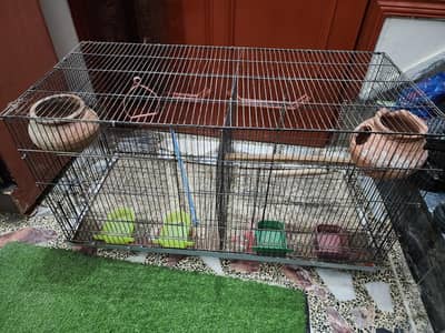 2 Portion Cage for Small Parrots