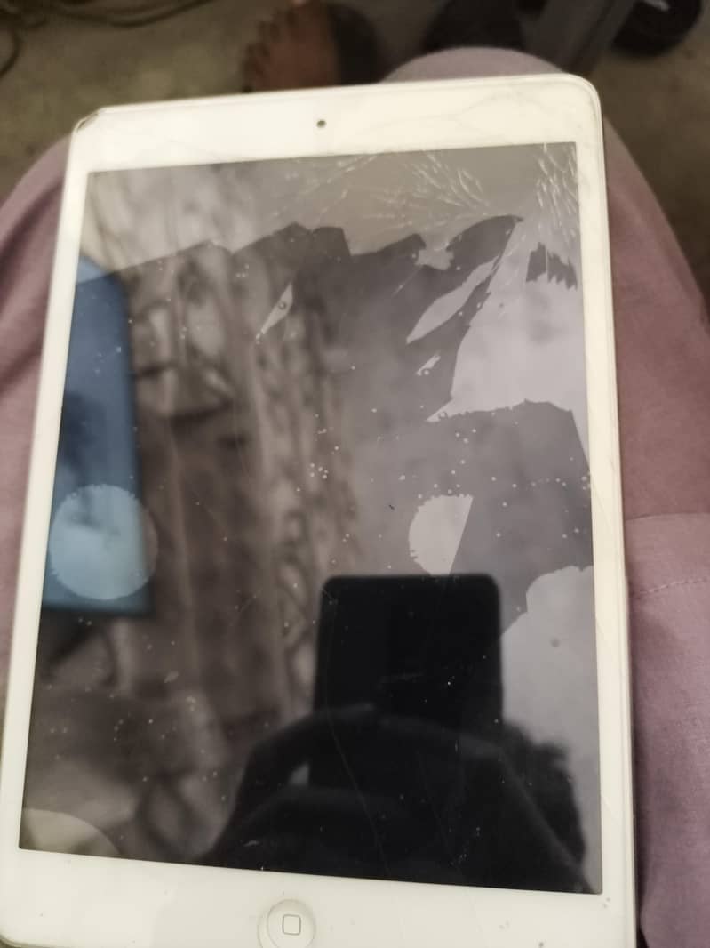 ipad mini 2 2