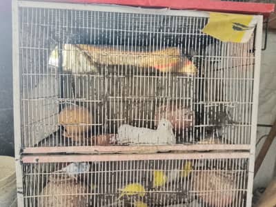 Cage from sale