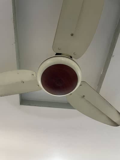 Selling Tamoor 30 Watts Ceiling fan