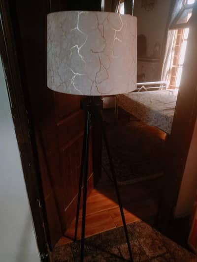 brand new floor lamp