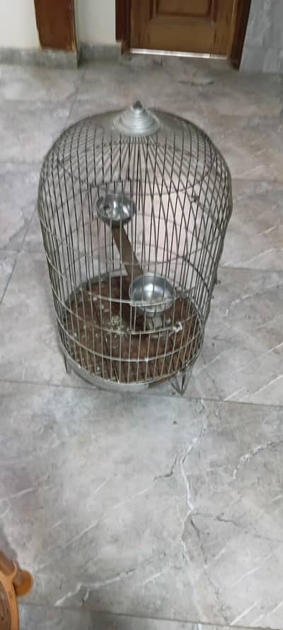 parrot cage