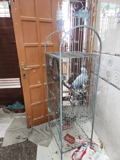 Cages