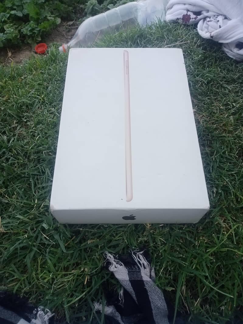 iPad mini 5 1
