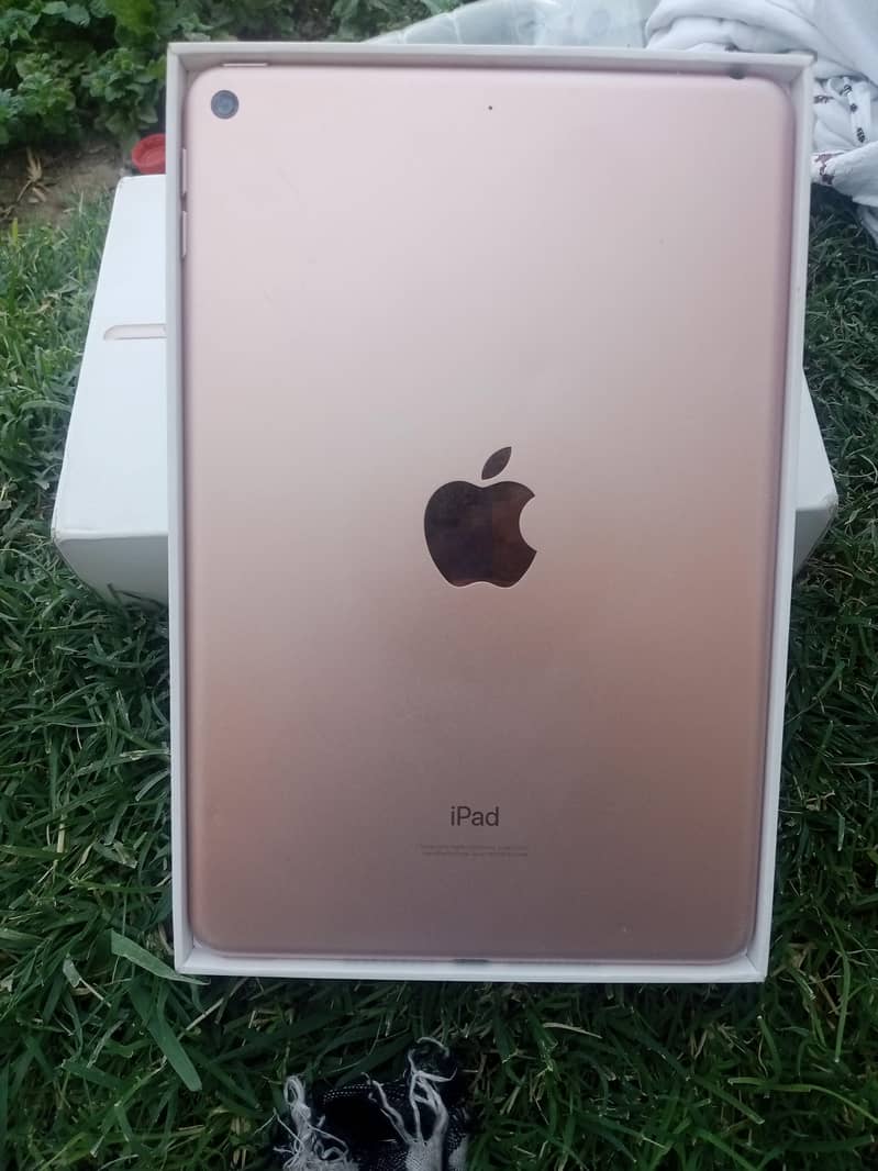 iPad mini 5 2