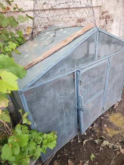 Cage for Parrots I Hens | Teetar |