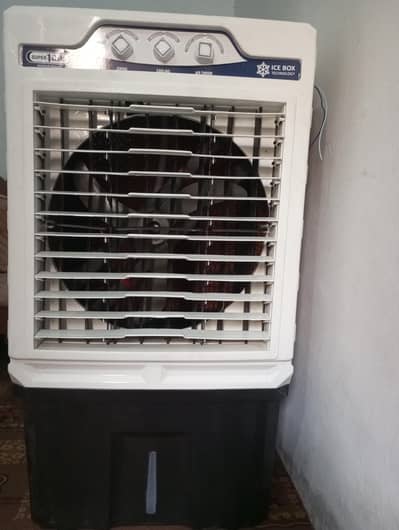 12 volt cooler