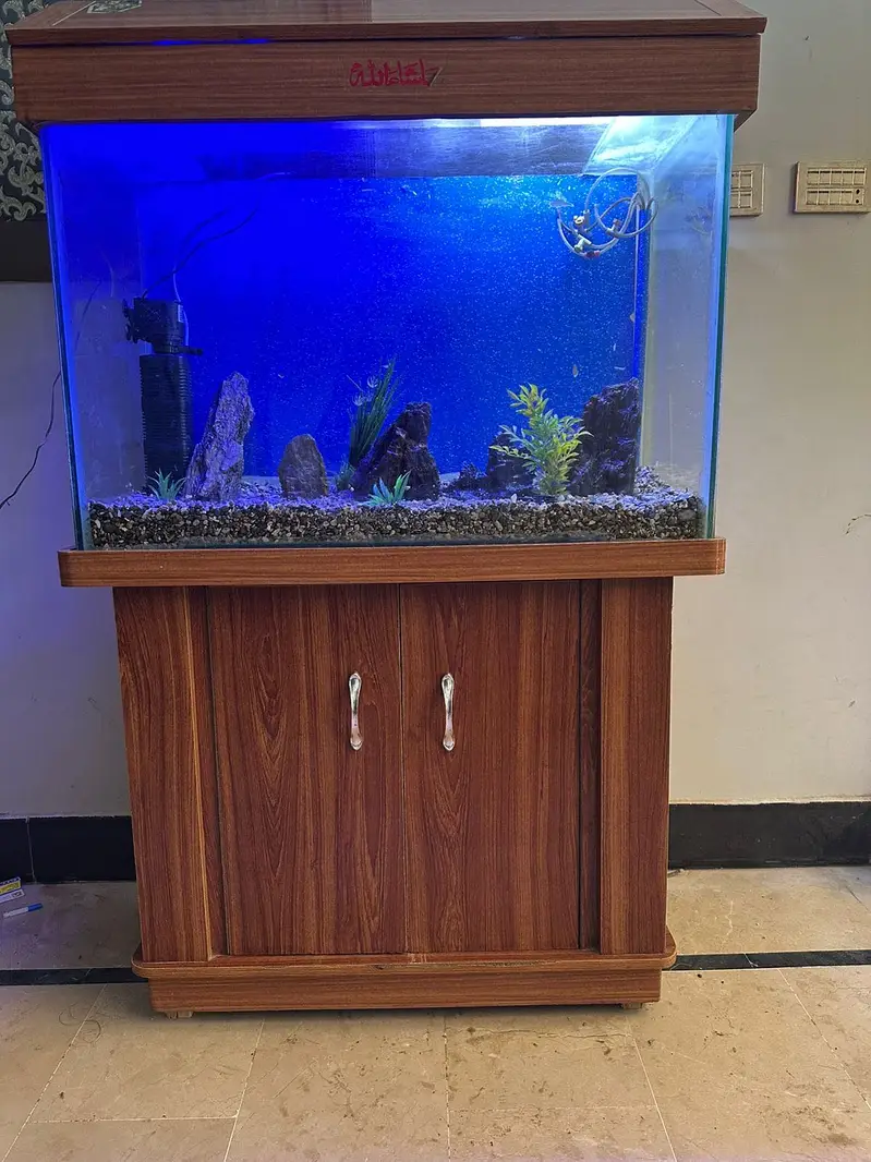 Fish Aquarium 3 Feet — photo 4