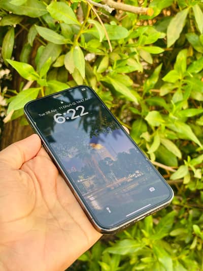 iPhone 12pro jv one hand you neet in clean piece