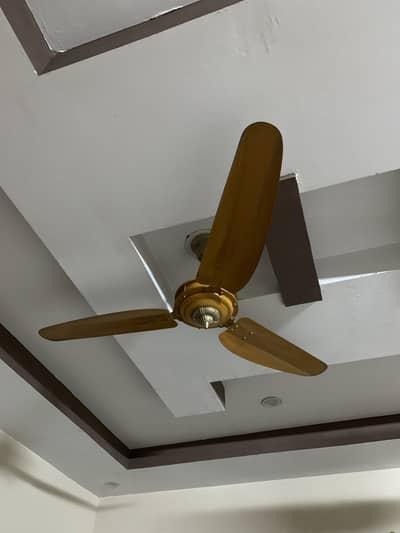 1 pair fancy ceiling fans