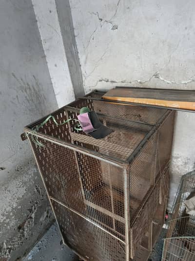 birds cage in good condition. . . . heavy materia ka bna hua hai. . . .