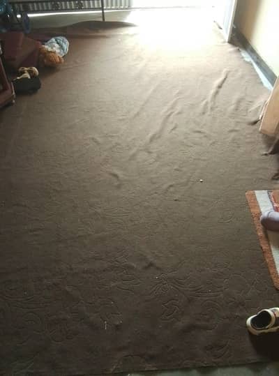 Brown color carpet