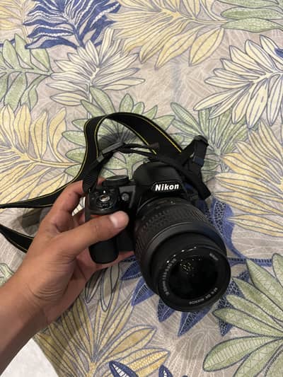 D3100