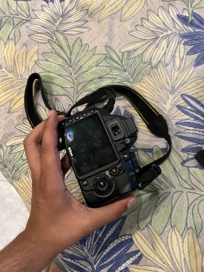 D3100 1