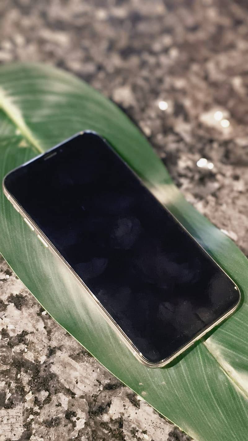 iPhone 3