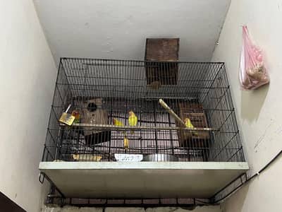 2cage