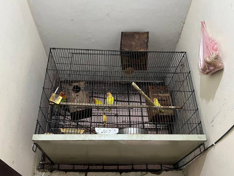 2cage 0