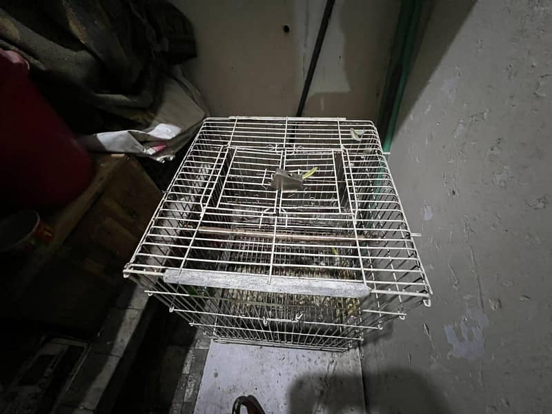 2cage 1