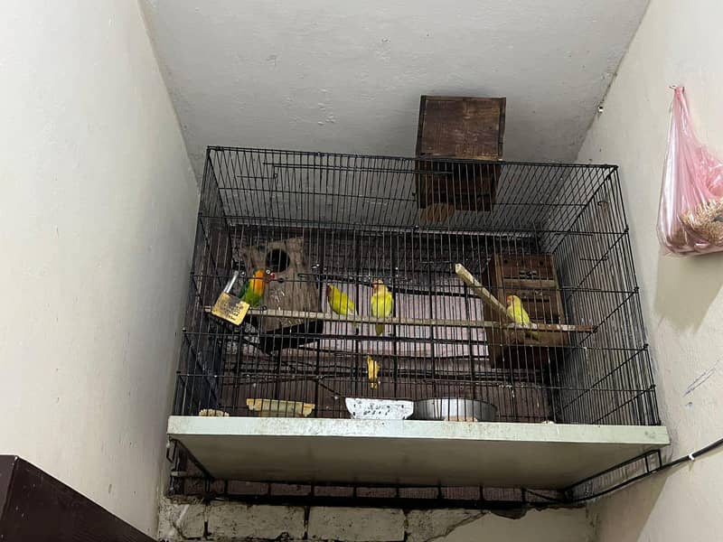 2cage 2