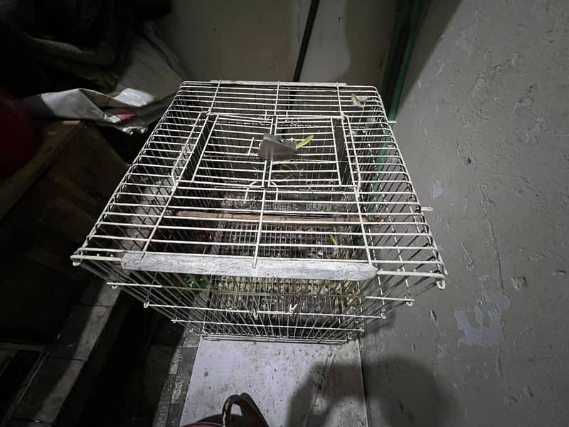 2cage 3