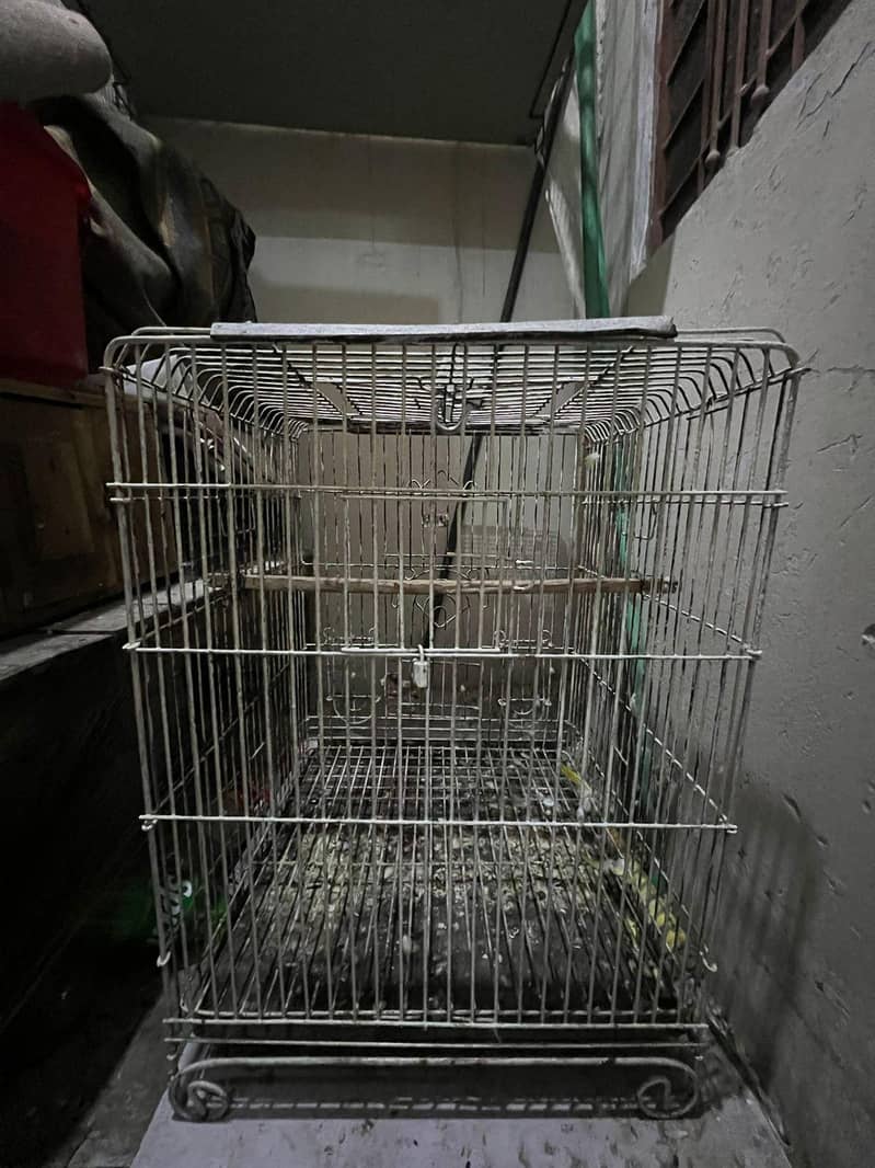 2cage 4