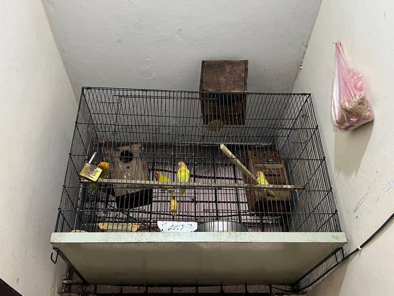 2cage 5