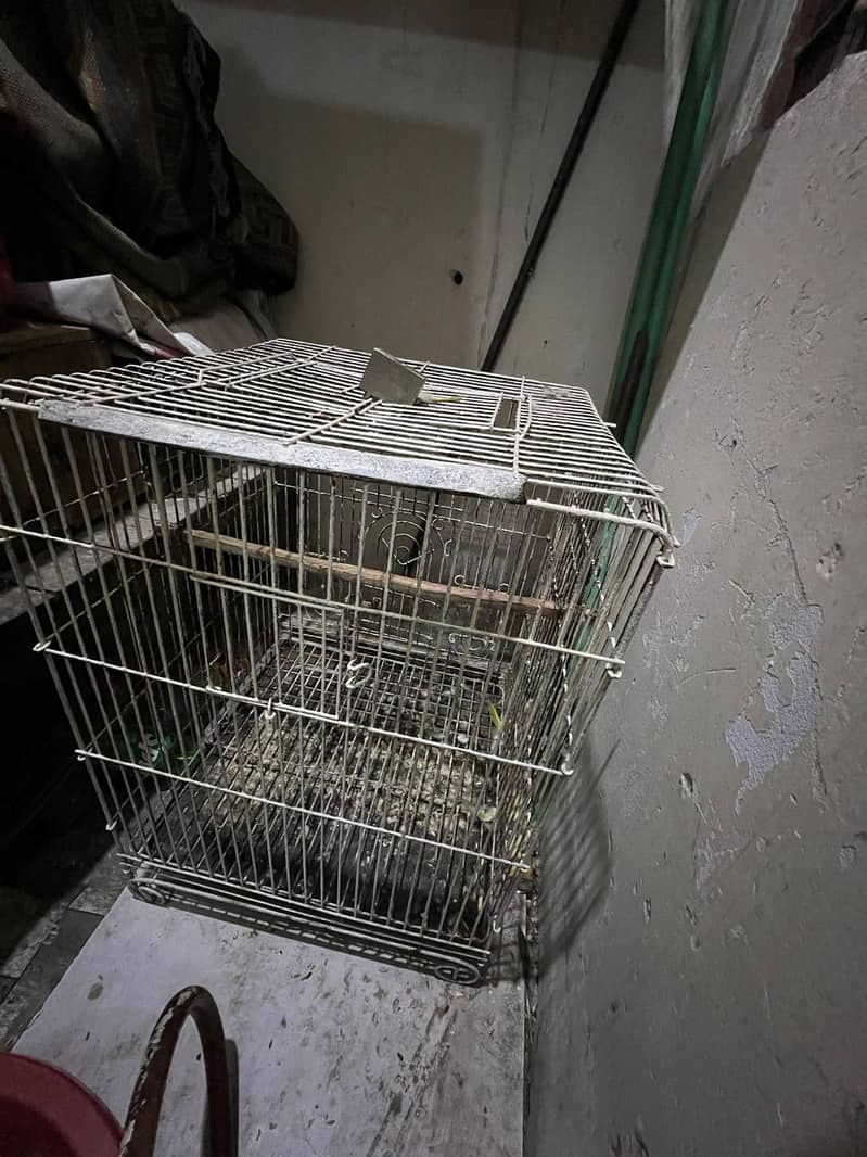 2cage 6