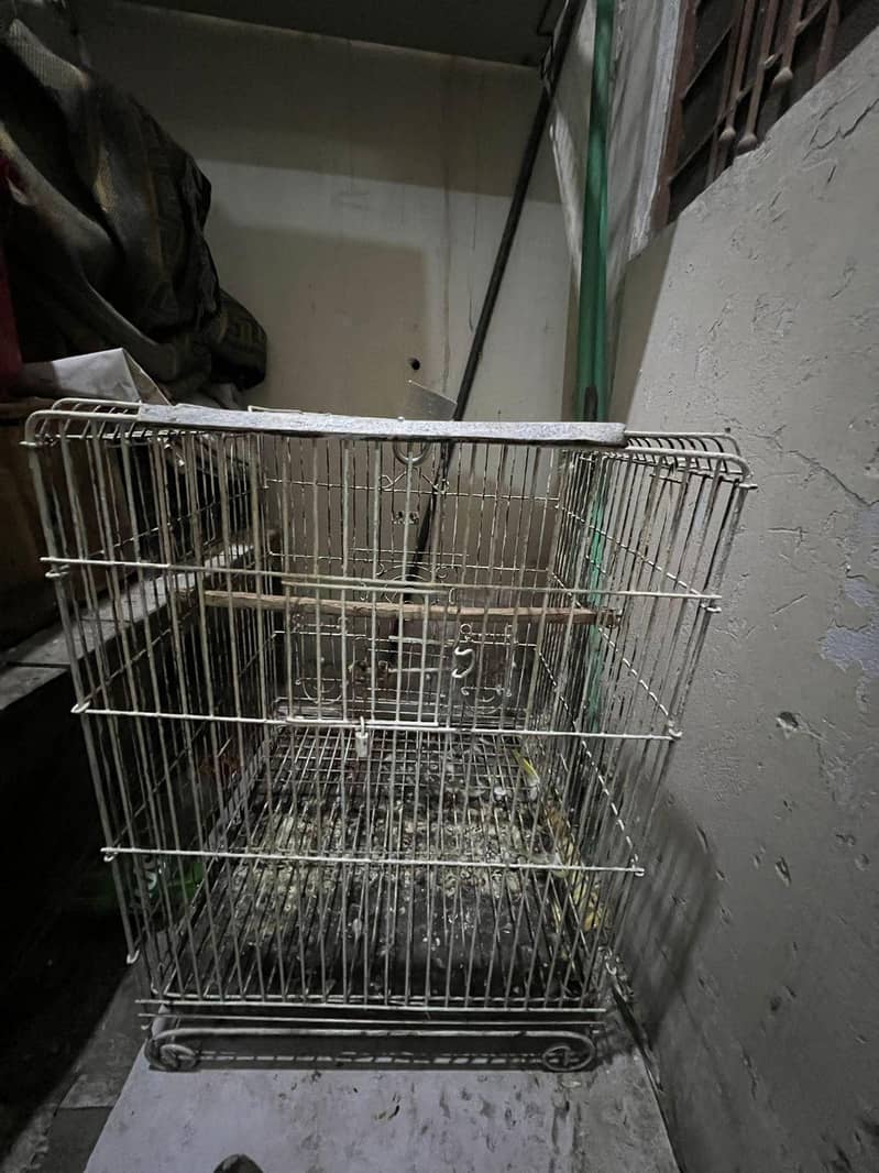 2cage 7